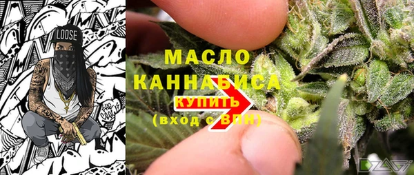 прущие грибы Новодвинск