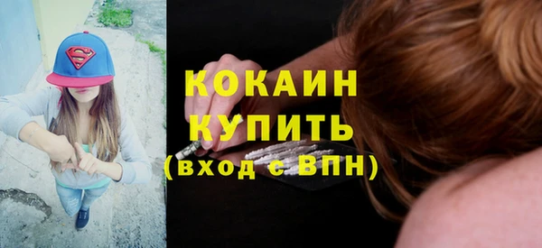 сатива Новокубанск