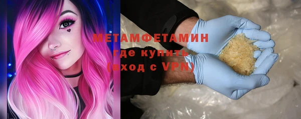 прущие грибы Новодвинск