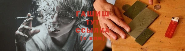прущие грибы Новодвинск