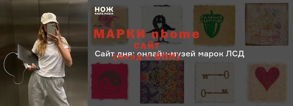 прущие грибы Новодвинск
