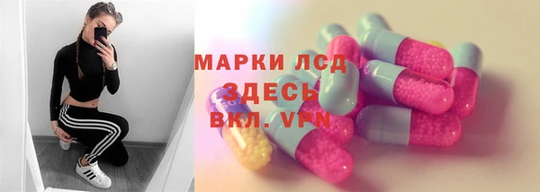 прущие грибы Новодвинск