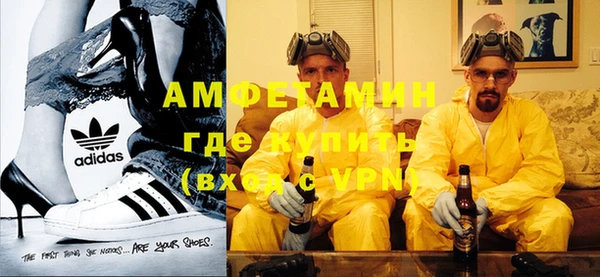 сатива Новокубанск