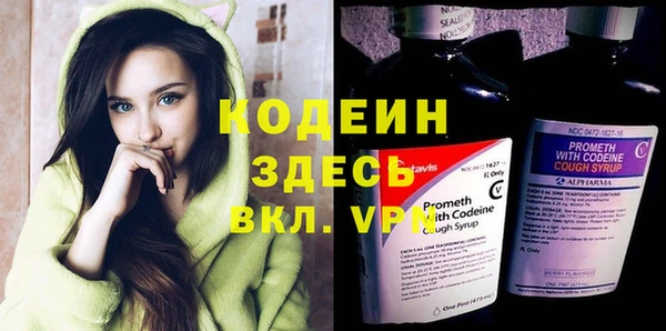 прущие грибы Новодвинск