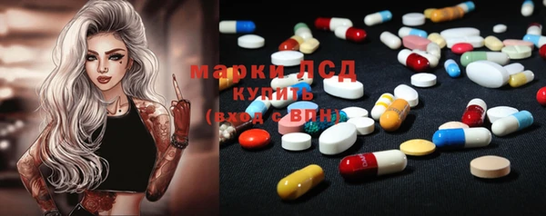 прущие грибы Новодвинск