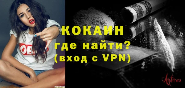прущие грибы Новодвинск