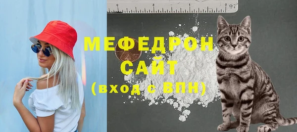 прущие грибы Новодвинск