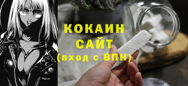 сатива Новокубанск